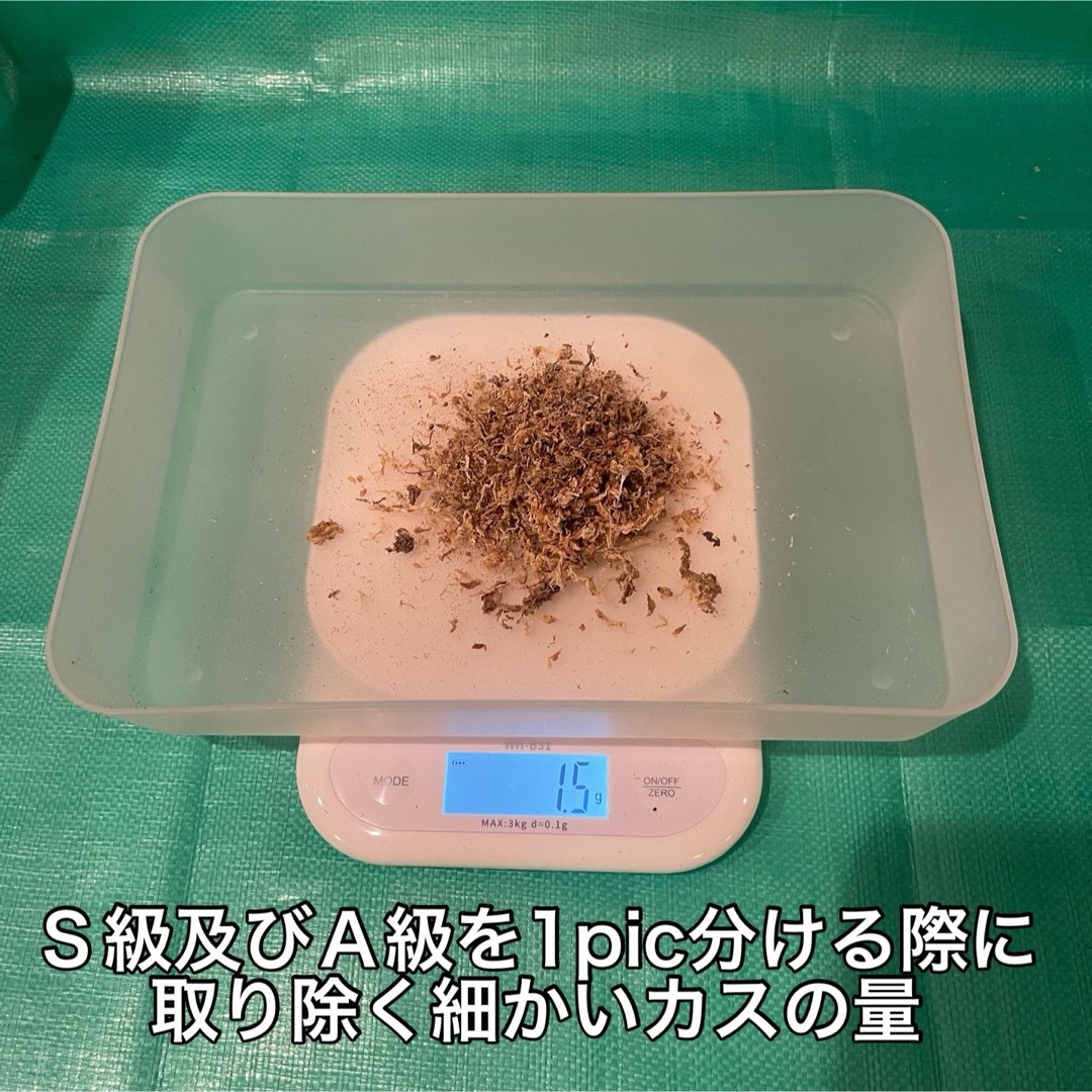 天然水苔 ミズゴケ 乾燥水苔 チリ産 Ｓ級 25g ハンドメイドのフラワー/ガーデン(その他)の商品写真