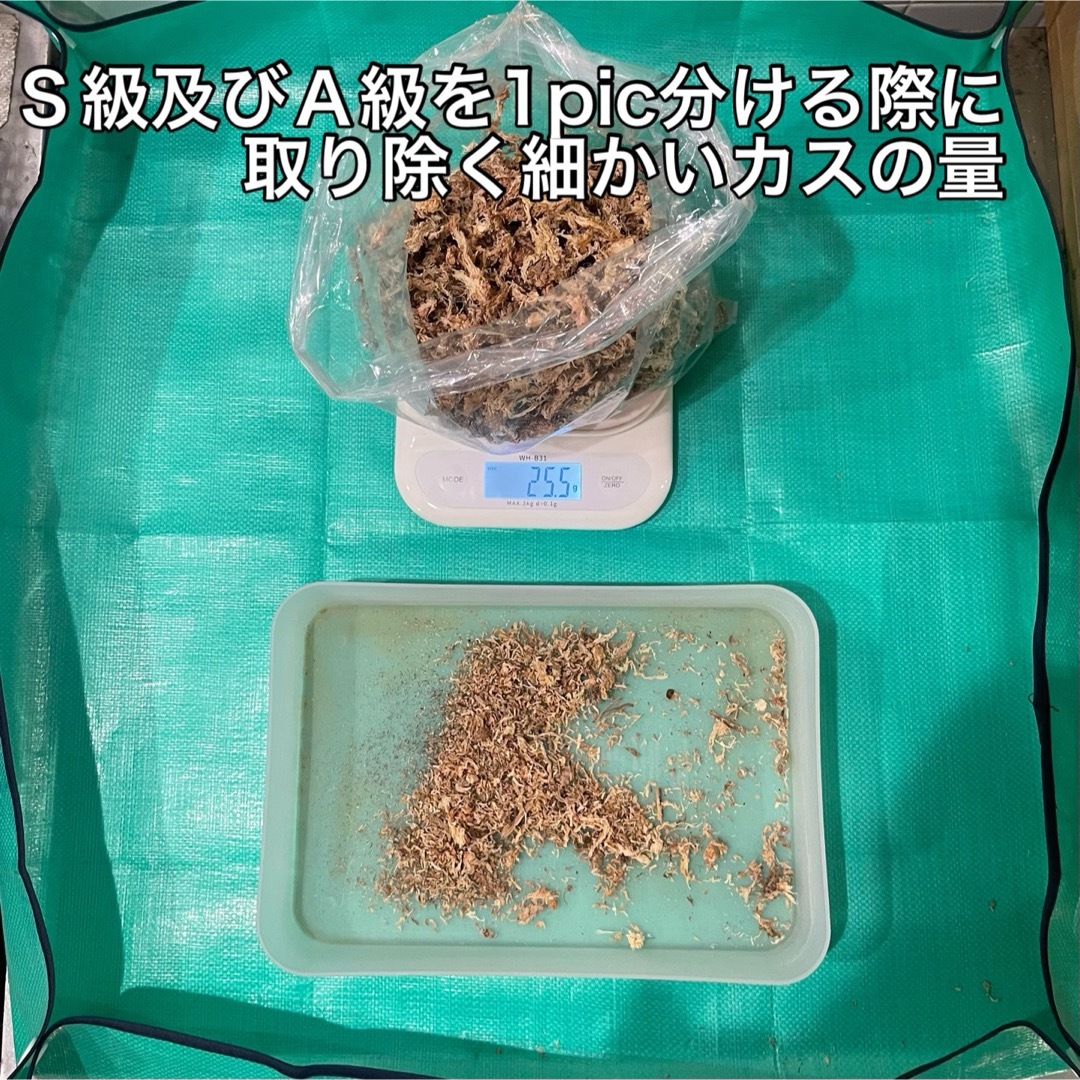 天然水苔 ミズゴケ 乾燥水苔 チリ産 Ｓ級 25g ハンドメイドのフラワー/ガーデン(その他)の商品写真