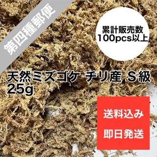 天然水苔 ミズゴケ 乾燥水苔 チリ産 Ｓ級 25g(その他)