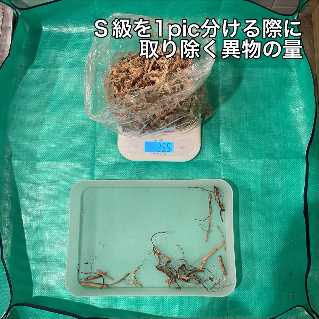 天然水苔 ミズゴケ 乾燥水苔 チリ産 Ｓ級 25g×2pcs ハンドメイドのフラワー/ガーデン(その他)の商品写真