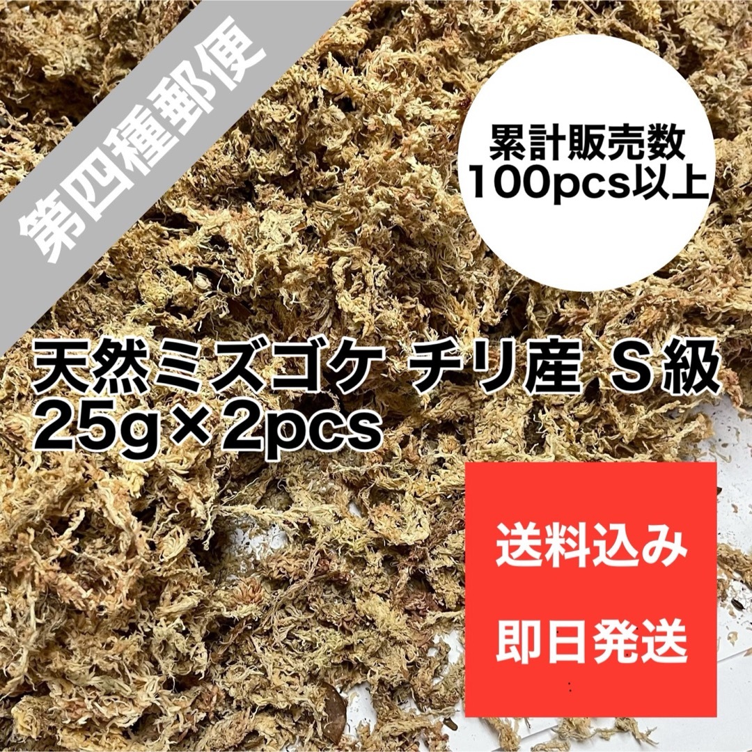 天然水苔 ミズゴケ 乾燥水苔 チリ産 Ｓ級 25g×2pcs ハンドメイドのフラワー/ガーデン(その他)の商品写真