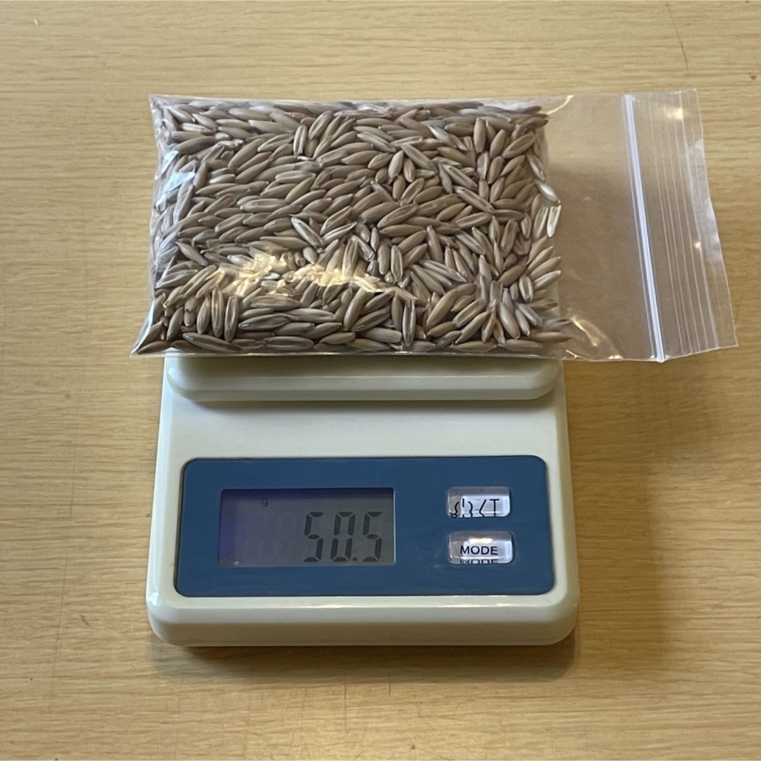 猫草 ネコ草 エン麦 種 植物 毛玉ケア 緑肥 50g その他のペット用品(猫)の商品写真