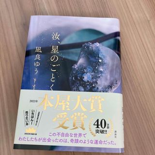 汝、星のごとく(文学/小説)