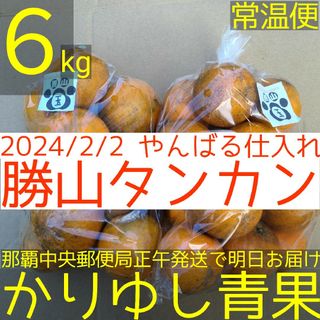 ３セット限定】沖縄県産 勝山タンカン小玉S・2Sサイズ約６kg【常温】2