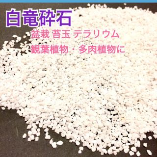 キラキラ⭐︎白竜砕石 910g 化粧砂利 盆栽や苔リウム（白色結晶石灰石）(その他)