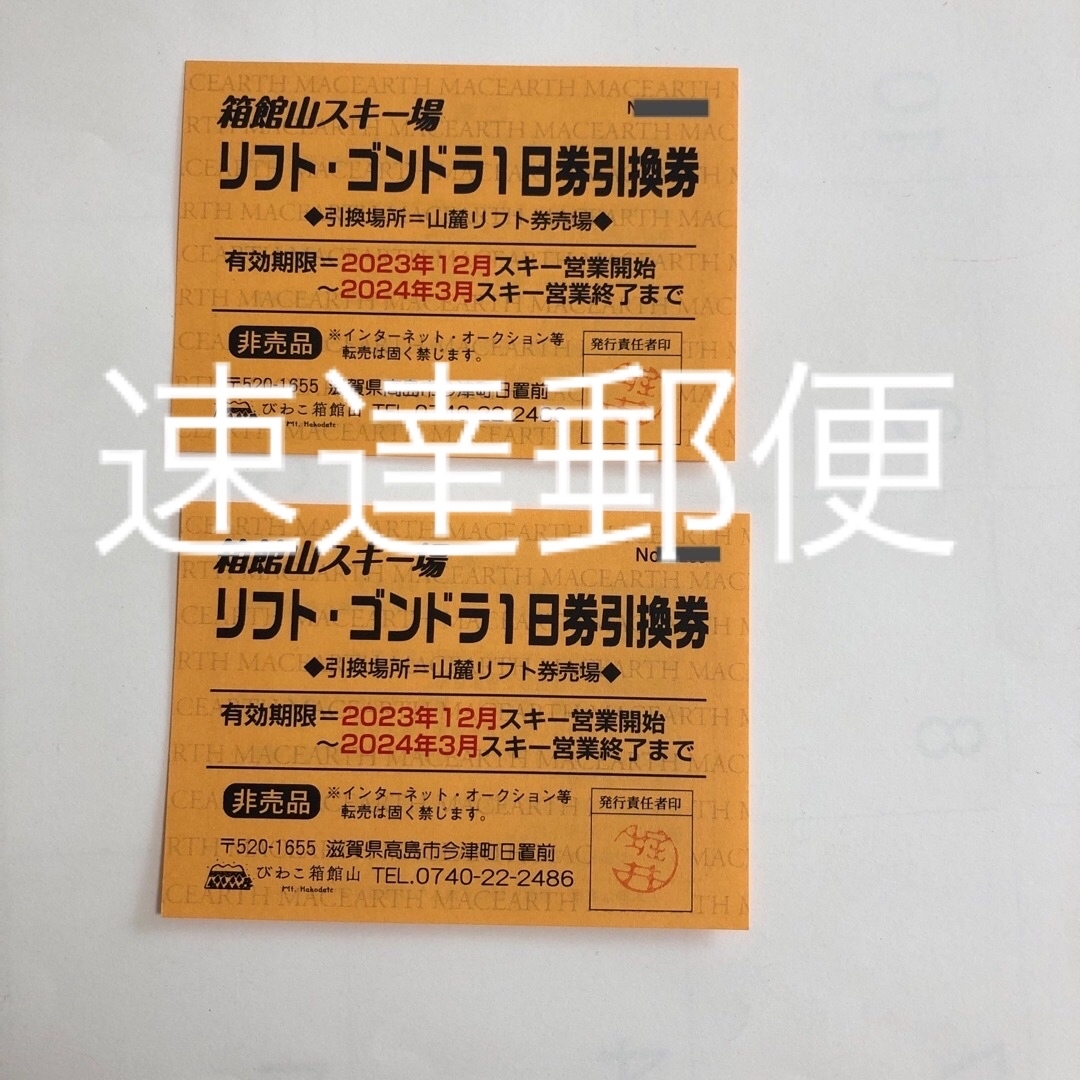 箱館山スキー場　リフトゴンドラ1日券2枚セット施設利用券