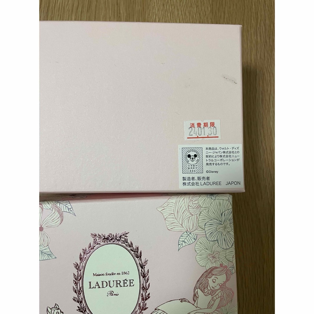 LADUREE(ラデュレ)のラデュレ　マカロン　空き箱　アリス インテリア/住まい/日用品のインテリア小物(小物入れ)の商品写真