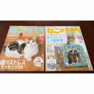 ベネッセ(Benesse)のねこのきもち 2冊(猫)