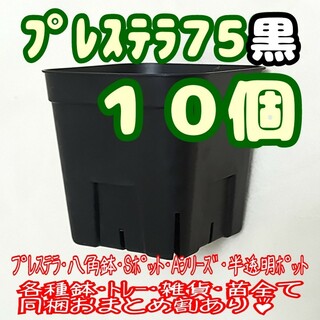 【スリット鉢】プレステラ75黒10個 多肉植物 プラ鉢(プランター)