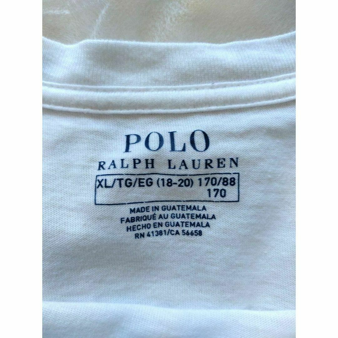POLO RALPH LAUREN(ポロラルフローレン)の【ポロラルフローレン】ポロベア　ビッグプリント　Tシャツ　大きめサイズ　半袖 メンズのトップス(Tシャツ/カットソー(半袖/袖なし))の商品写真