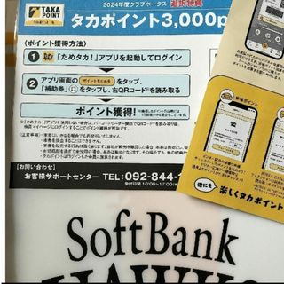 【最終価格】阪神タイガース ファン感謝デー ペア連番 1塁アルプス