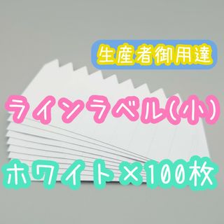 ラインラベル 小 100枚 白 園芸ラベル カラーラベル 多肉植物 エケベリア(その他)