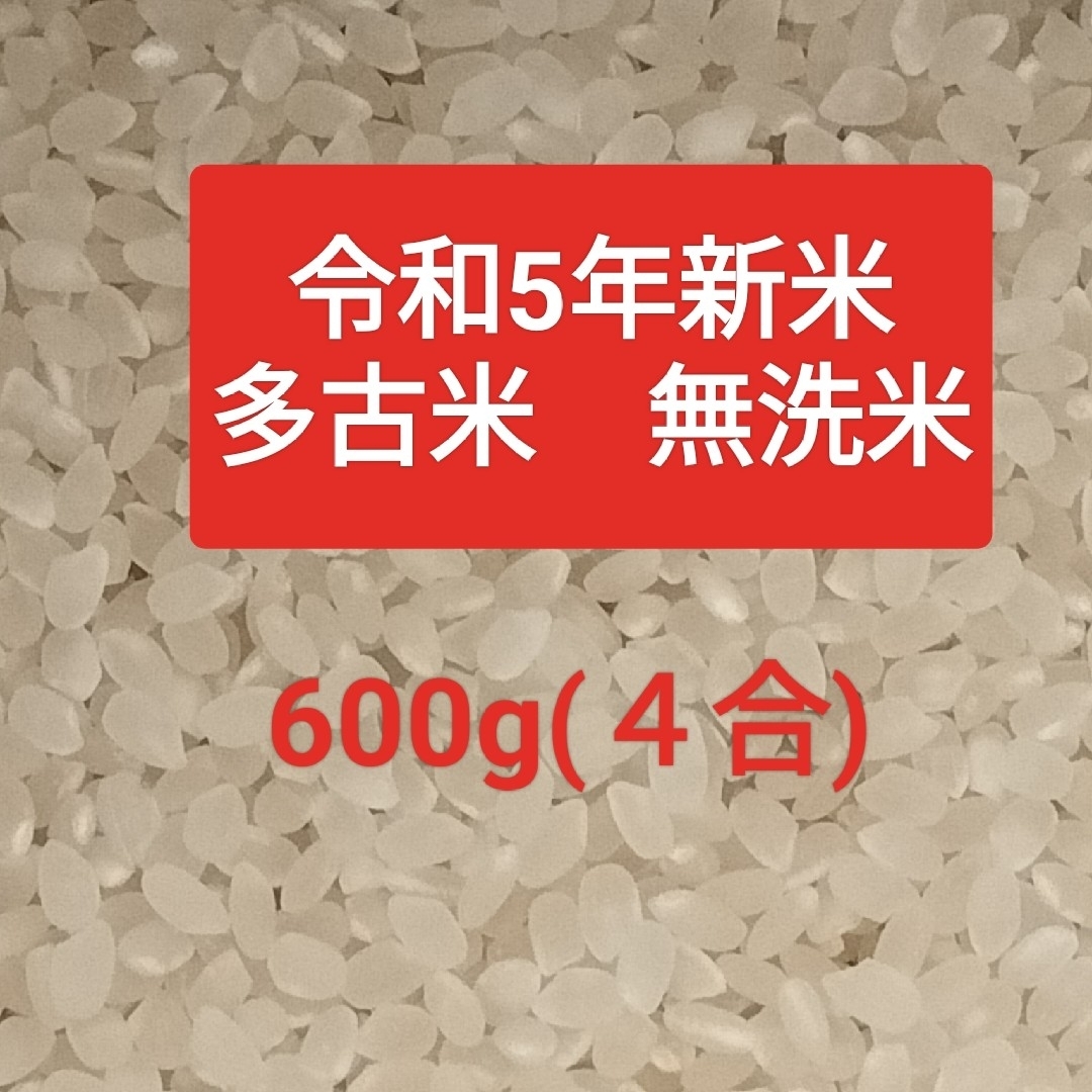 多古米コシヒカリ　４合（600g） 食品/飲料/酒の食品(米/穀物)の商品写真