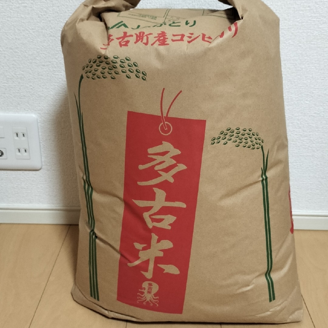 多古米コシヒカリ　４合（600g） 食品/飲料/酒の食品(米/穀物)の商品写真