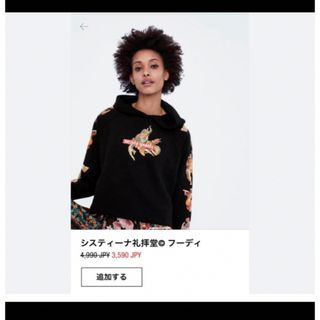 ザラ(ZARA)のZara パーカー　フーディ　アート　絵画　システィーナ　天使　ミケランジェロ(パーカー)