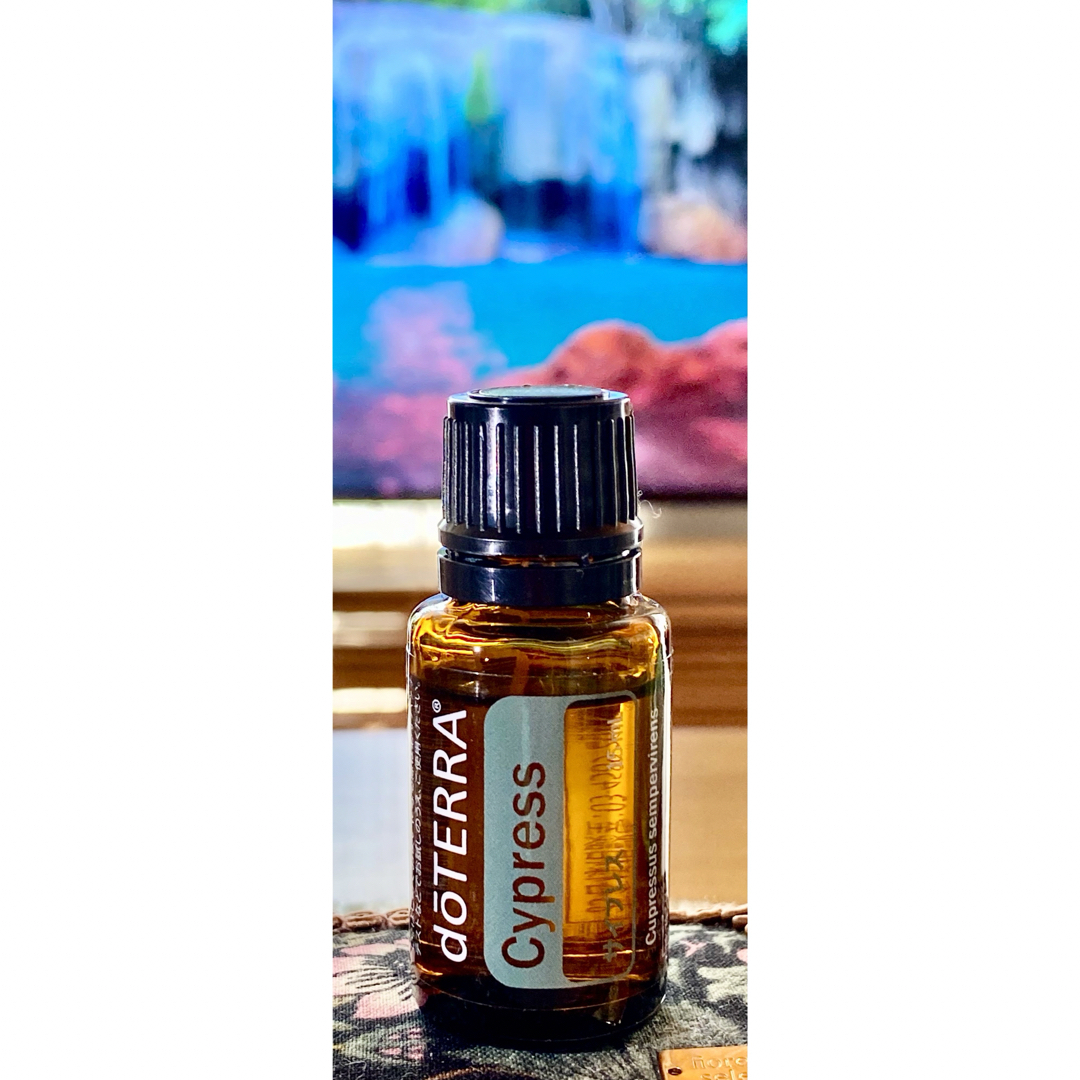 doTERRA(ドテラ)の最終お値引き。DOTERRAアロマオイル　サイプレス15ml コスメ/美容のリラクゼーション(エッセンシャルオイル（精油）)の商品写真