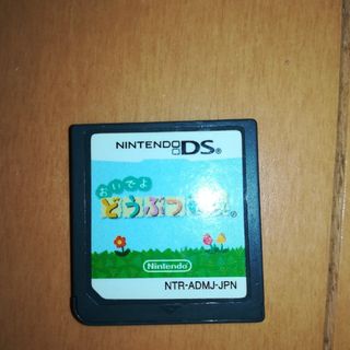 ニンテンドーDS(ニンテンドーDS)のおいでよどうぶつの森(家庭用ゲームソフト)