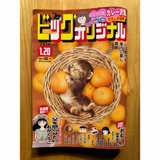 ショウガクカン(小学館)のビッグコミック オリジナル 2024年 1/20号 [雑誌](漫画雑誌)