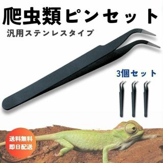 爬虫類／両生類ピンセット黒　3点セット 汎用11.5㎝　レオパ ヒョウモン(爬虫類/両生類用品)