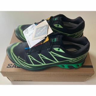 サロモン(SALOMON)のSALOMON XT-6 GTX ゴアテックス 28cm green(スニーカー)