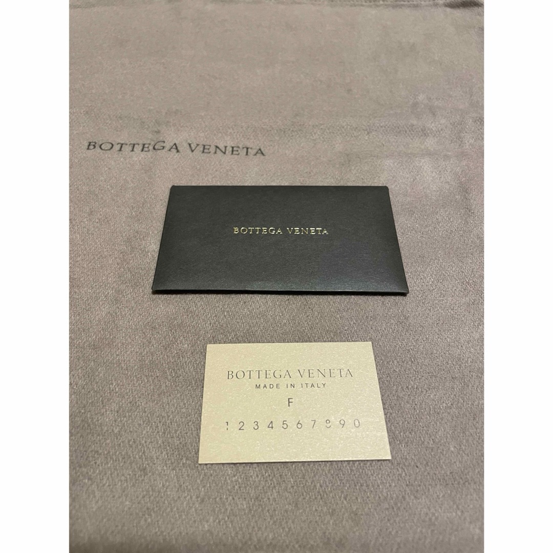 Bottega Veneta(ボッテガヴェネタ)の【70万】新品 ボッテガヴェネタ オーストリッチクラッチバッグ メンズのバッグ(セカンドバッグ/クラッチバッグ)の商品写真