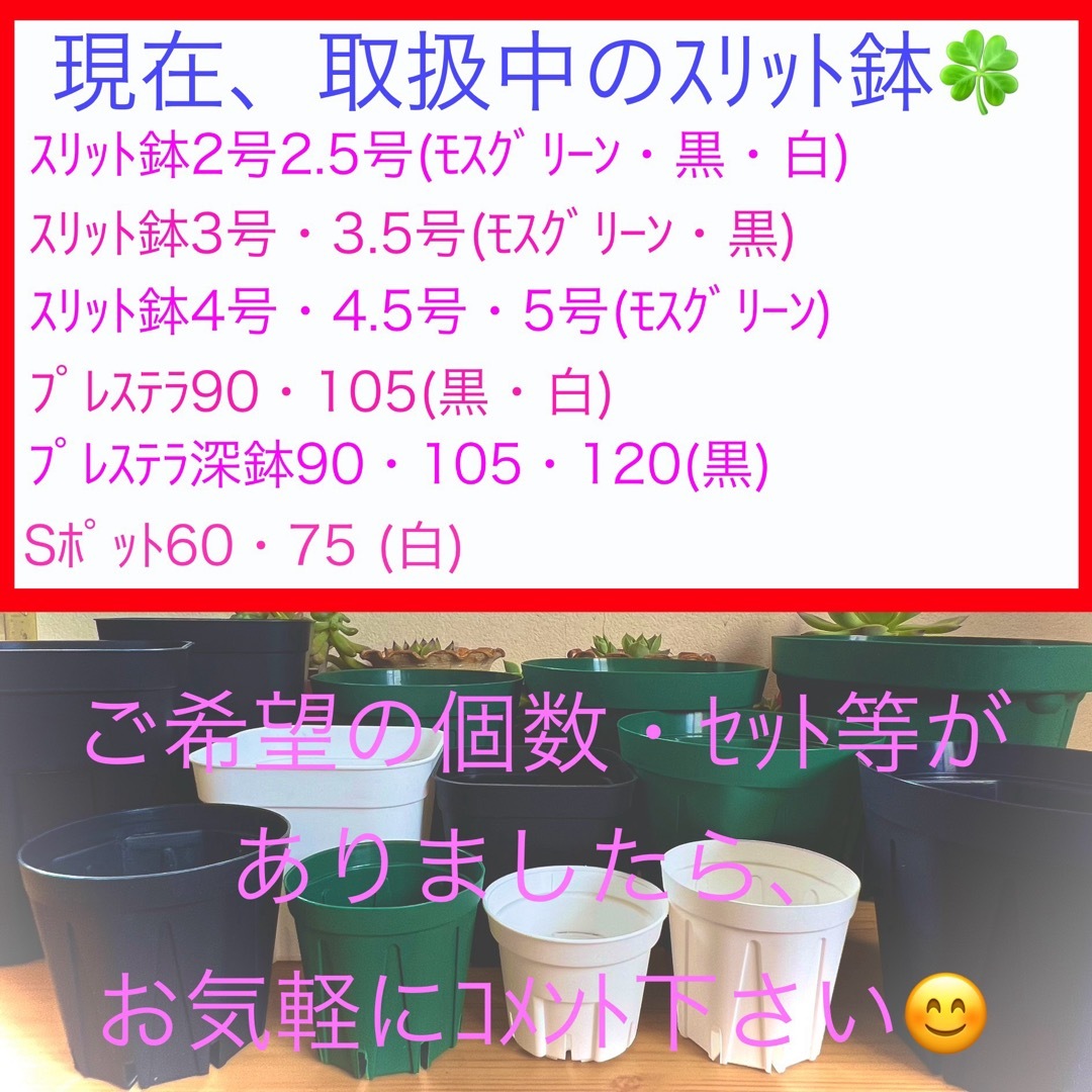 A①②  ｽﾘｯﾄ鉢【2.5号】80個ｾｯﾄ★ﾓｽｸﾞﾘｰﾝ ハンドメイドのフラワー/ガーデン(プランター)の商品写真