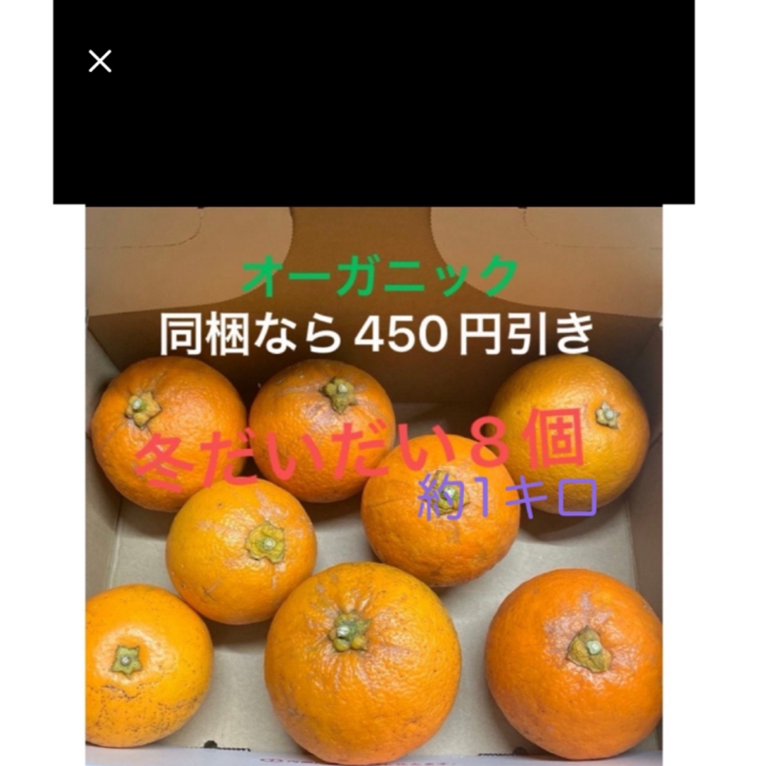 オーガニック訳ありプチプチネーブルオレンジ 食品/飲料/酒の食品(フルーツ)の商品写真