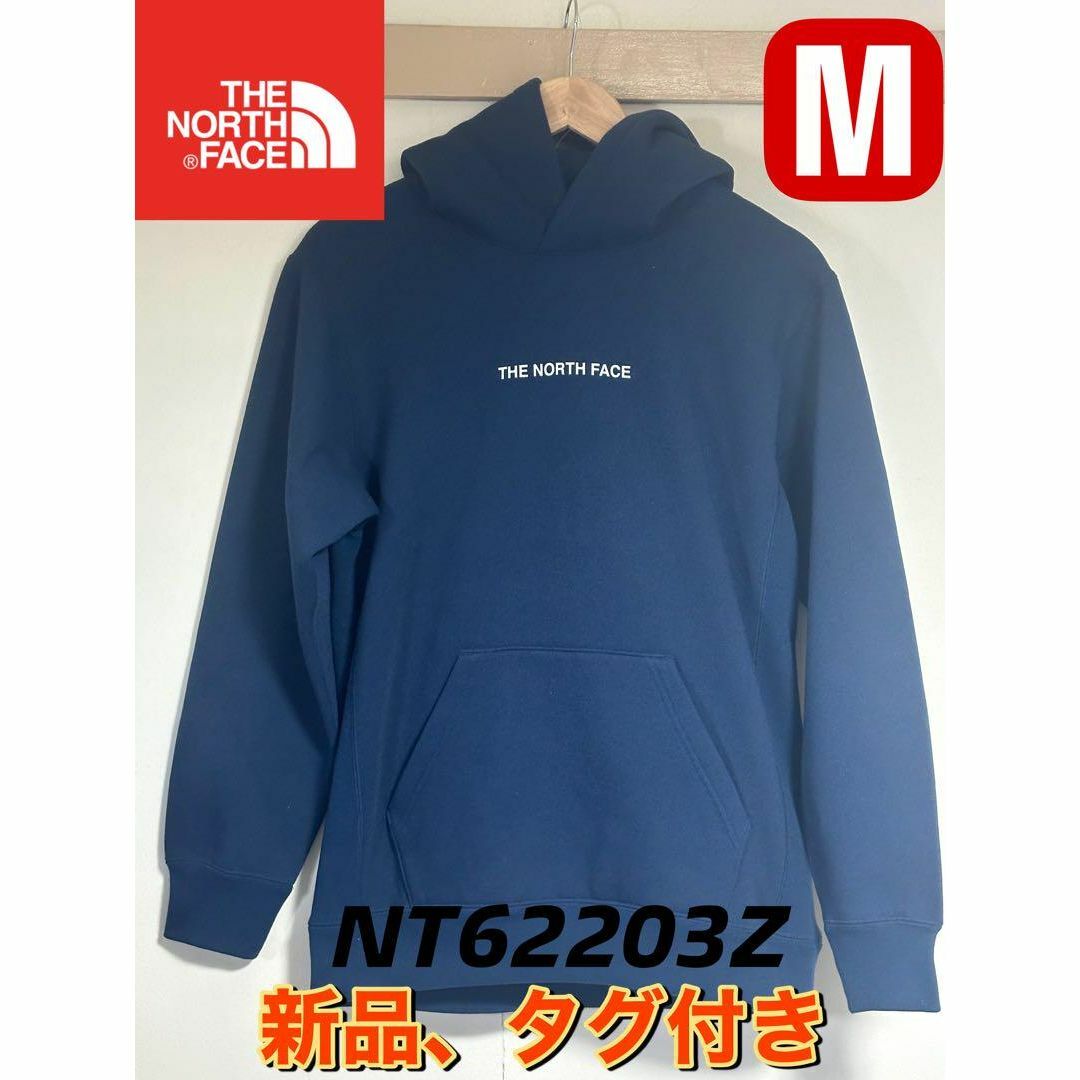 THE NORTH FACE(ザノースフェイス)の新品　ノースフェイス　ブラッシュド フーディー　パーカーM　NT62203Z メンズのトップス(パーカー)の商品写真