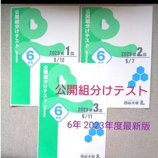 【2023年度最新版】四谷大塚公開組分けテスト6年生(語学/参考書)