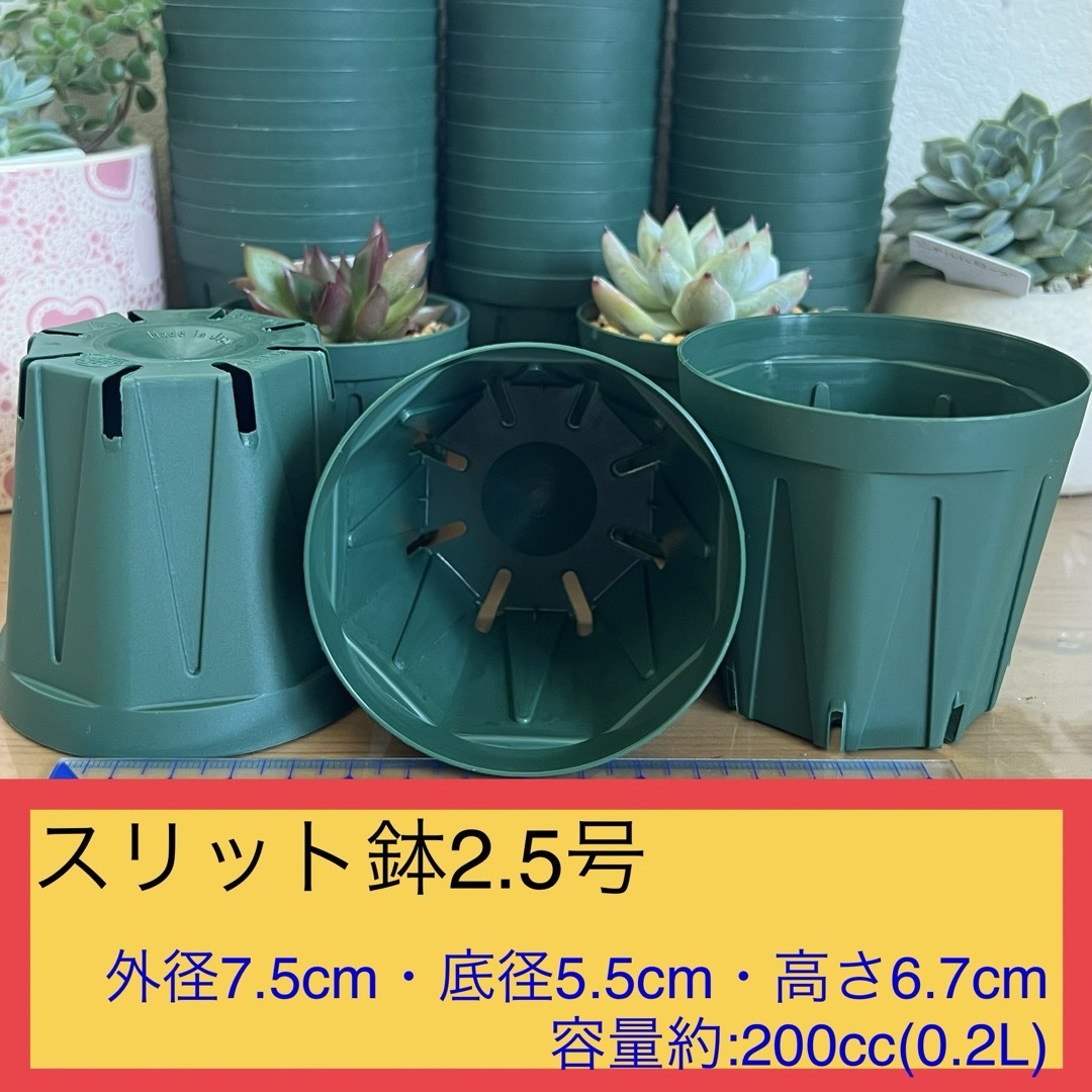 A①⑤  ｽﾘｯﾄ鉢【2.5号】150個ｾｯﾄ★ﾓｽｸﾞﾘｰﾝ ハンドメイドのフラワー/ガーデン(プランター)の商品写真