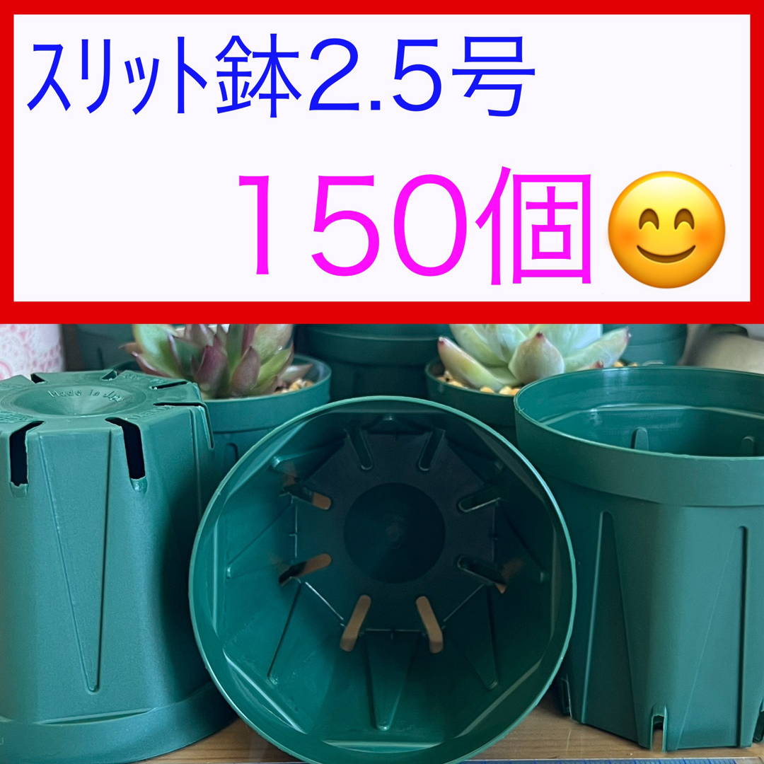 A①⑤  ｽﾘｯﾄ鉢【2.5号】150個ｾｯﾄ★ﾓｽｸﾞﾘｰﾝ ハンドメイドのフラワー/ガーデン(プランター)の商品写真