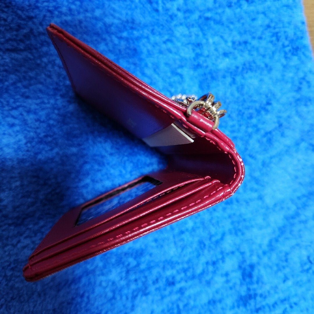 ANNA SUI(アナスイ)のANNA SUI　パスケース　新品未使用 レディースのファッション小物(パスケース/IDカードホルダー)の商品写真