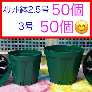 A30  ｽﾘｯﾄ鉢お得セット★【2.5号50個】【3号50個】(プランター)