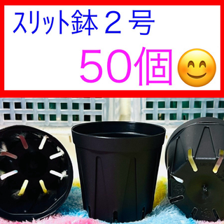 G②  ｽﾘｯﾄ鉢【2号】50個ｾｯﾄ★ﾌﾞﾗｯｸ(プランター)
