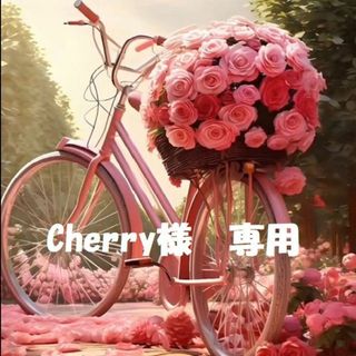 【Cherry様　専用】(トレーナー/スウェット)