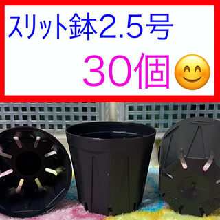 G⑨  ｽﾘｯﾄ鉢【2.5号】30個ｾｯﾄ★ﾌﾞﾗｯｸ(プランター)