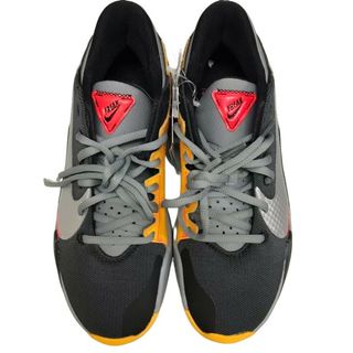 ナイキ(NIKE)のNIKE ナイキ バスケットシューズ ZOOM FREAK2 CK5424-006 表記サイズ 25.0cm バッシュ スニーカー 【新品】 U2308K707(その他)