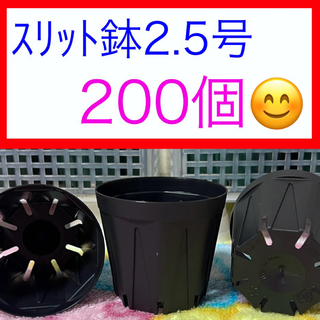 G①⑥   ｽﾘｯﾄ鉢【2.5号】200個ｾｯﾄ★ﾌﾞﾗｯｸ(プランター)