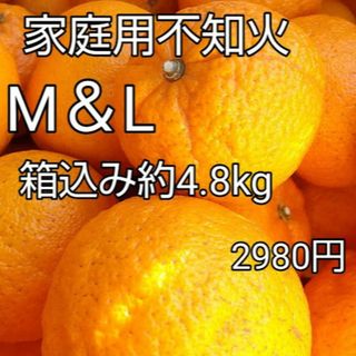 愛媛県産不知火　Ⅿ＆Ｌ　箱込み約4.8kg(フルーツ)