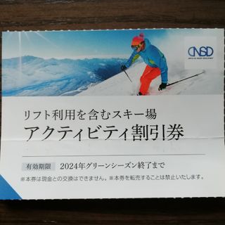 日本駐車場開発 株主優待 リフト利用割引券アクティビティ割引券1枚(スキー場)