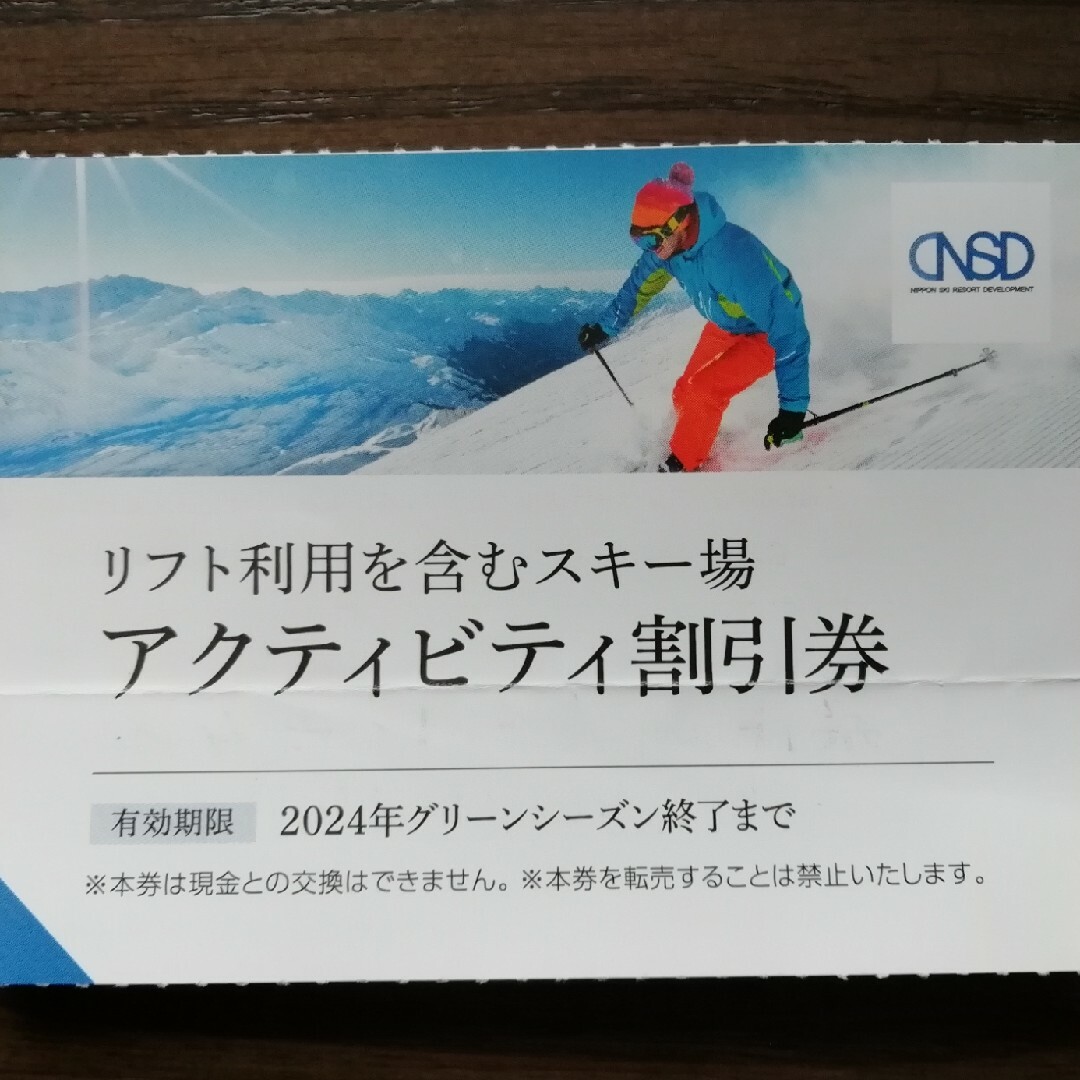 日本駐車場開発 スキー場 割引券 1枚 - スキー場