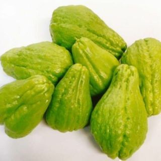 炒め物やピクルスに！沖縄産 食用ハヤトウリ 農薬不使用！おまかせ2kg(野菜)