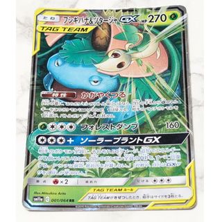 ポケモン(ポケモン)の※傷、角めくれ、白欠けあり フシギバナ&ツタージャGX Cレギュ ポケカ(シングルカード)