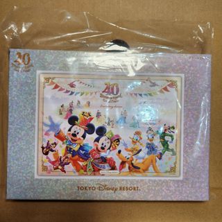 ディズニー　40周年　グランドフィナーレ　アクリルブロック　ディズニーランド(キャラクターグッズ)