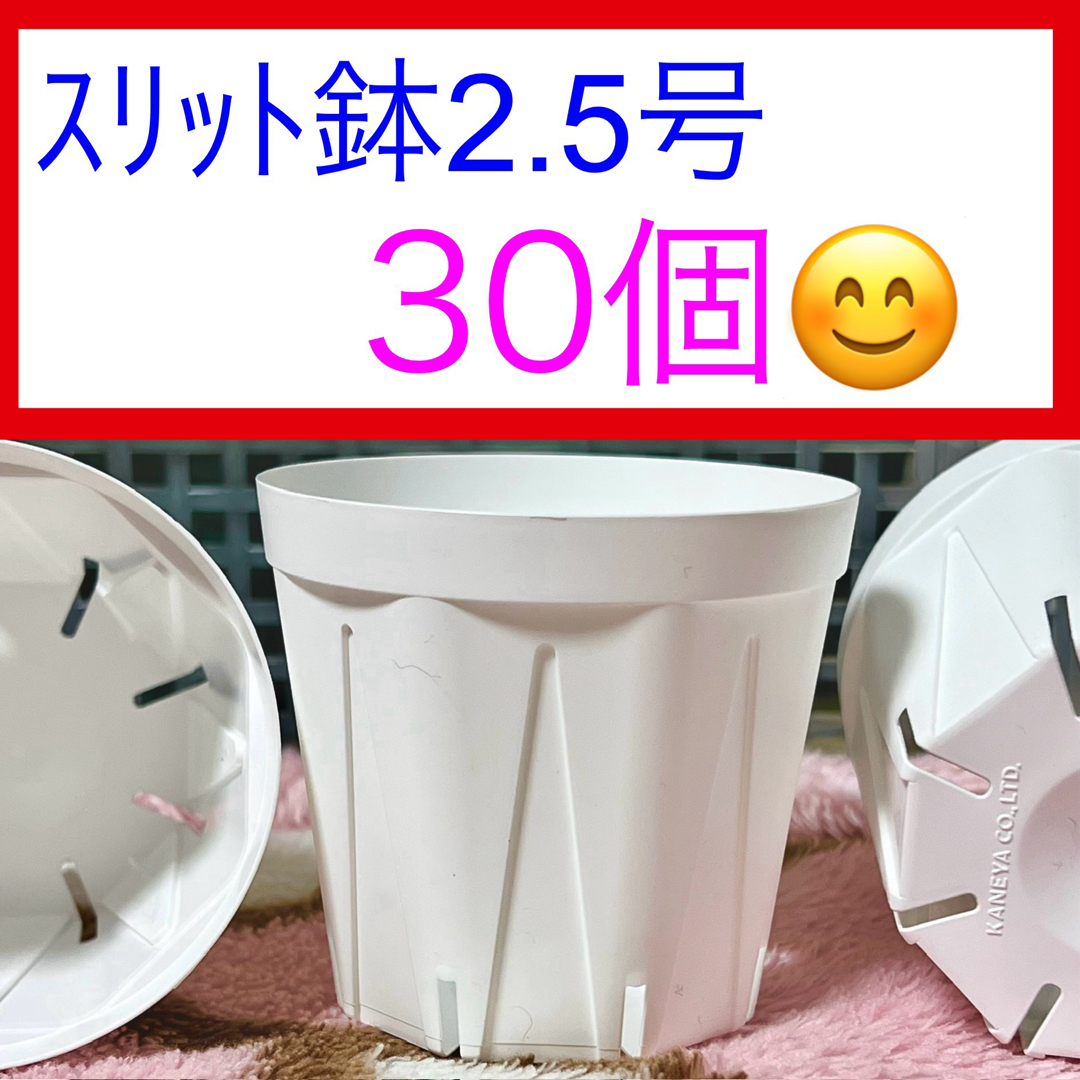 H①②  ｽﾘｯﾄ鉢【2.5号】30個ｾｯﾄ★ﾎﾜｲﾄ ハンドメイドのフラワー/ガーデン(プランター)の商品写真