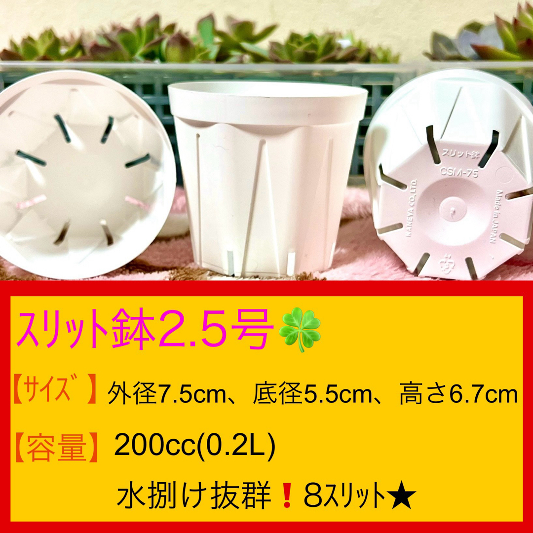 H①②  ｽﾘｯﾄ鉢【2.5号】30個ｾｯﾄ★ﾎﾜｲﾄ ハンドメイドのフラワー/ガーデン(プランター)の商品写真
