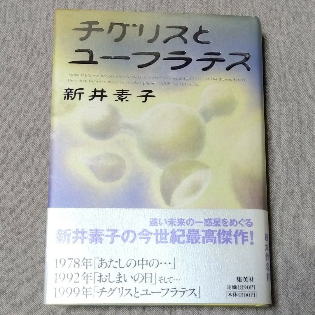 【初版・帯】新井素子 チグリスとユーフラテス エンタメ/ホビーの本(文学/小説)の商品写真