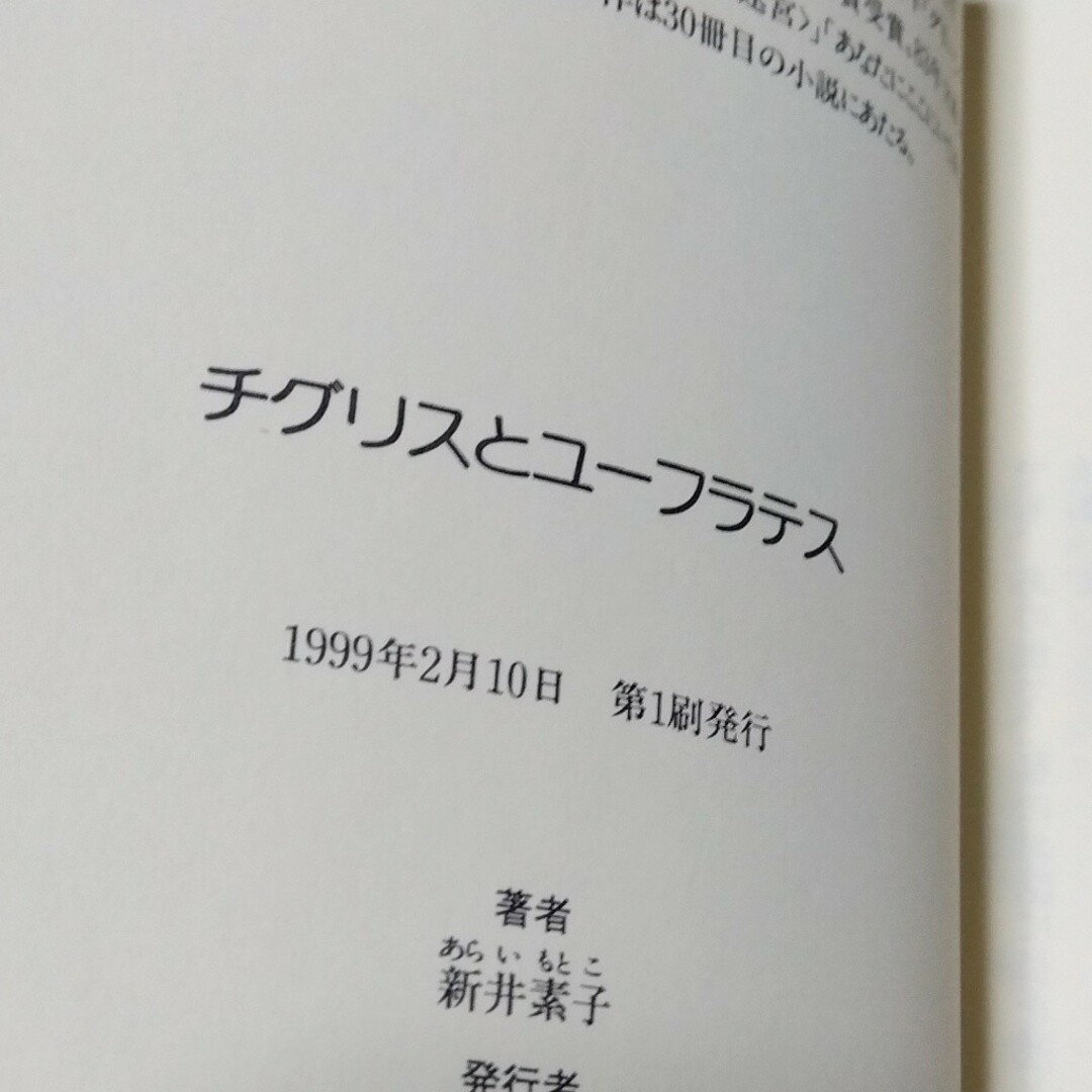 【初版・帯】新井素子 チグリスとユーフラテス エンタメ/ホビーの本(文学/小説)の商品写真