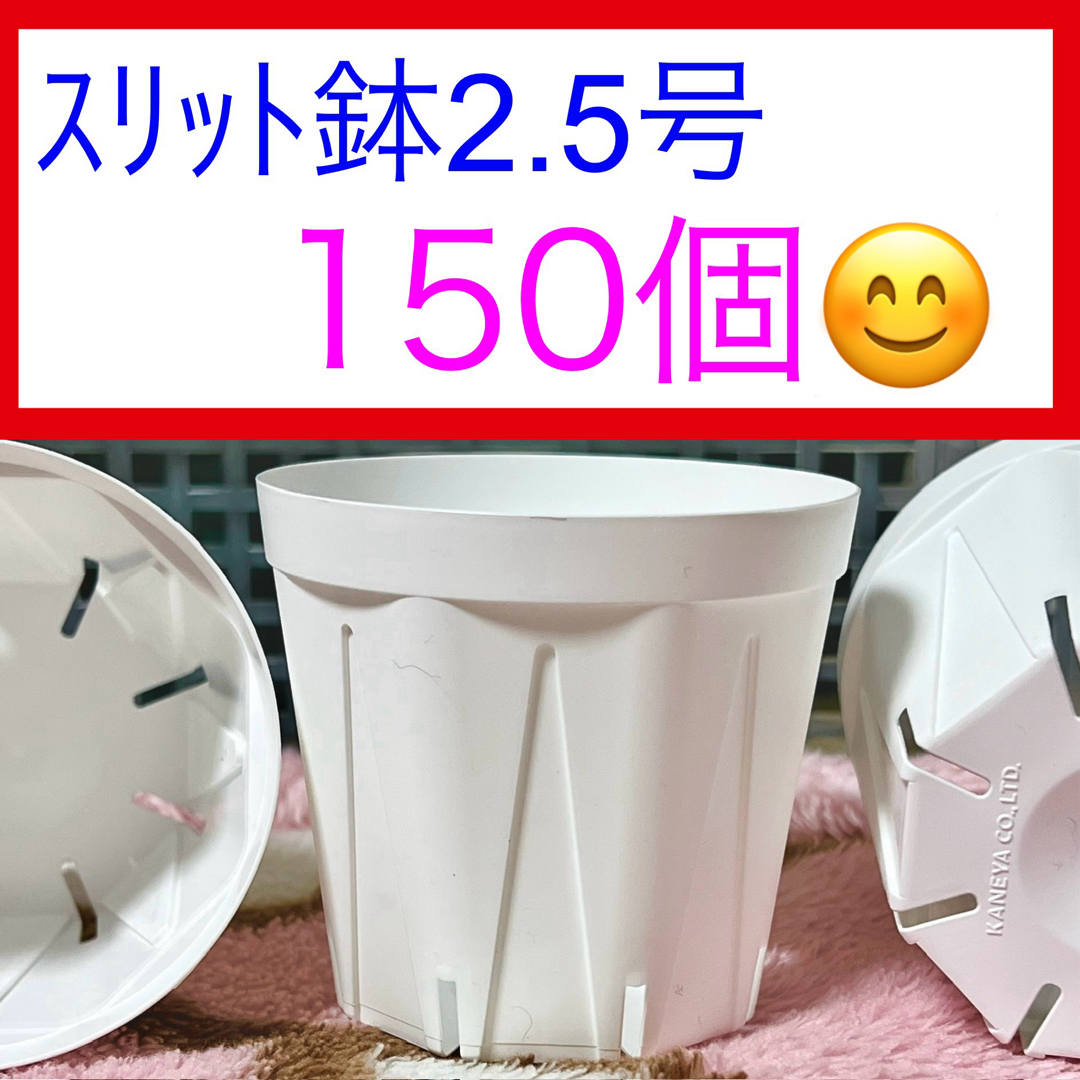 H①⑨  ｽﾘｯﾄ鉢【2.5号】150個ｾｯﾄ★ﾎﾜｲﾄ ハンドメイドのフラワー/ガーデン(プランター)の商品写真