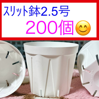 H20  ｽﾘｯﾄ鉢【2.5号】200個ｾｯﾄ★ﾎﾜｲﾄ(プランター)